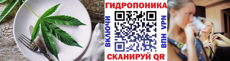 Купить  Жиздра  Cannafood конопля 