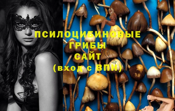 прущая мука Каменка