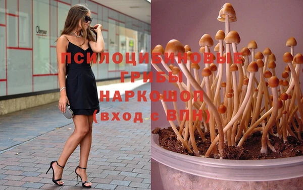 spice Каменск-Шахтинский