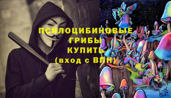 mix Иннополис
