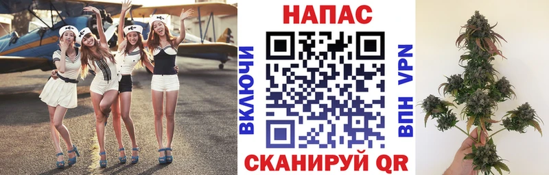Купить закладки  Жиздра  Конопля AK-47 